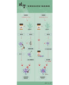 屠呦呦团队放“大招”：“青蒿素抗药性”等研究获新突破