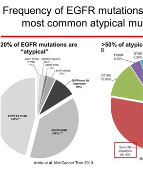 EGFR Exon 20突变和HER2突变型NSCLC治疗的新选择